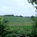 nazeing countryside1