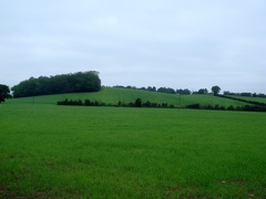 nazeing countryside2