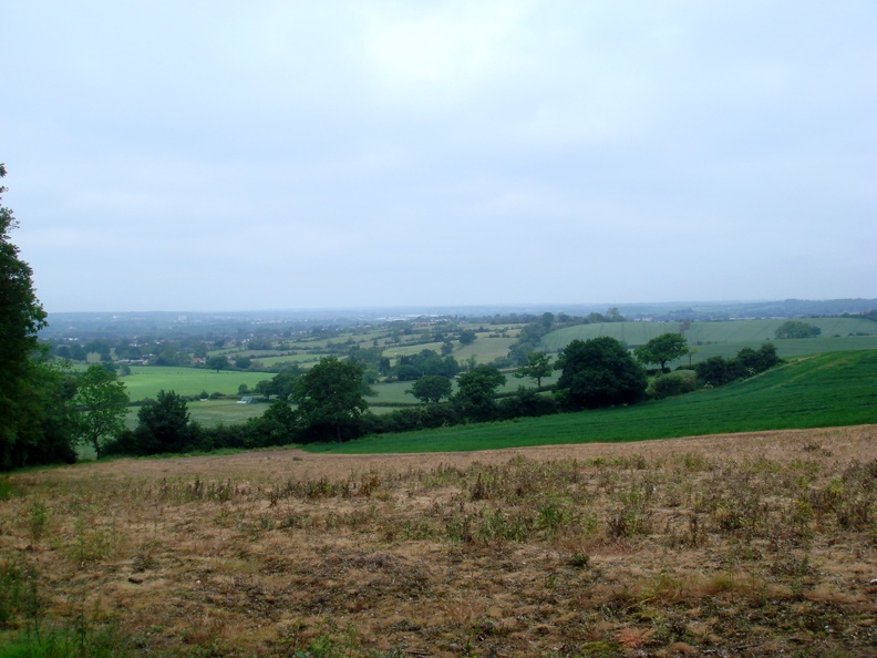 nazeing countryside3