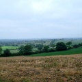 nazeing countryside3