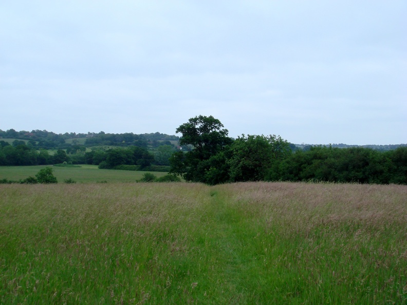 nazeing countryside6